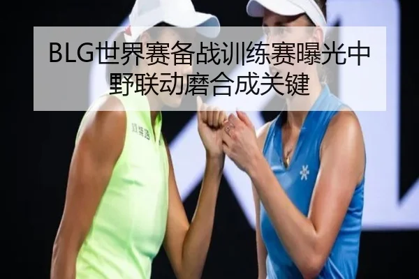 BLG世界赛备战训练赛曝光中野联动磨合成关键